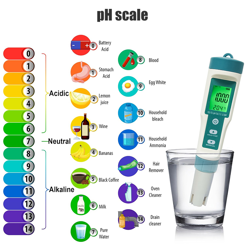 WESTTUNE Digitales PH-Messgerä – Ph Meter Digital Water Tester Bewertung und Preis