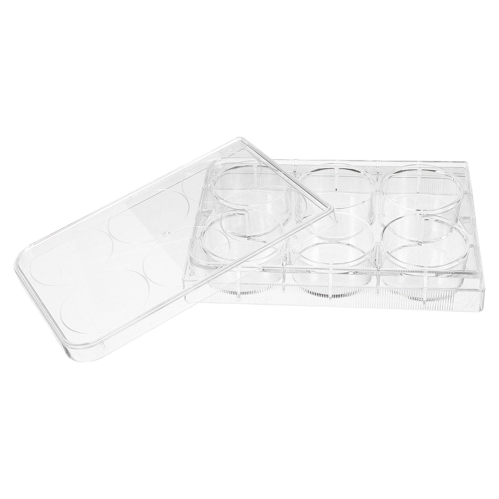 Gewebekulturplatte Labor Langl – Lab Equipment Bewertung und Preis
